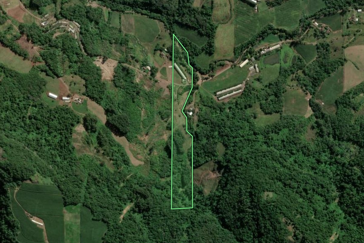Imagem de satélite do imóvel rural em Imigrante (RS), com o contorno declarado no CAR desenhado por cima.