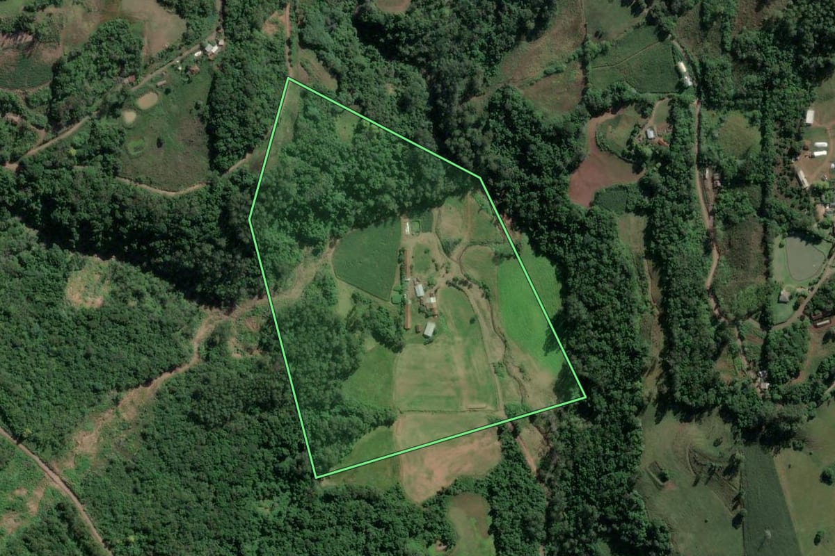 Imagem de satélite do imóvel rural em Imigrante (RS), com o contorno declarado no CAR desenhado por cima.