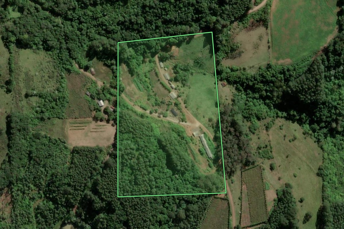 Imagem de satélite do imóvel rural em Imigrante (RS), com o contorno declarado no CAR desenhado por cima.