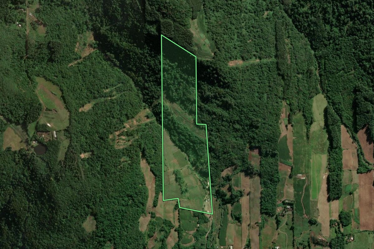 Imagem de satélite do imóvel rural em Imigrante (RS), com o contorno declarado no CAR desenhado por cima.