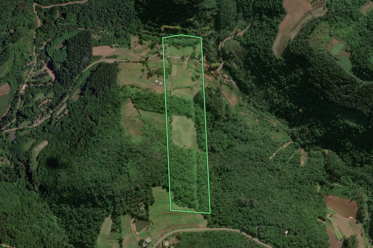 Imagem de satélite do imóvel rural em Imigrante (RS), com o contorno declarado no CAR desenhado por cima.