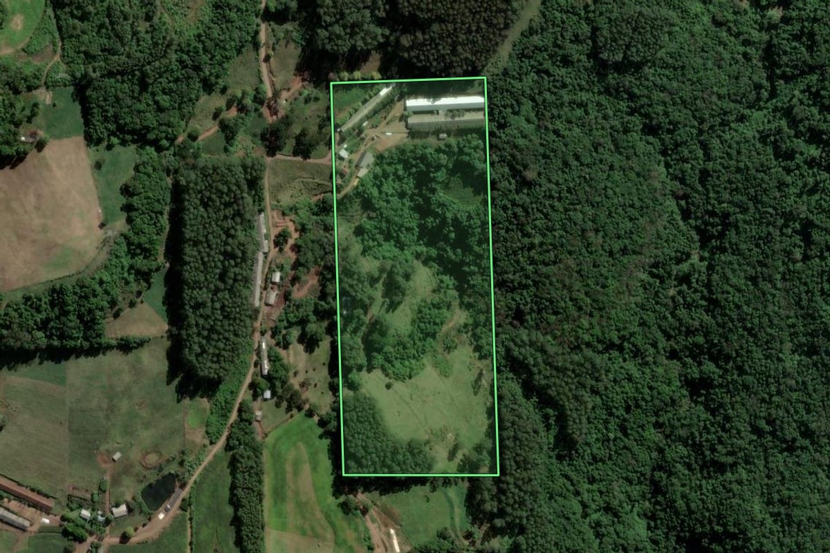 Imagem de satélite do imóvel rural em Imigrante (RS), com o contorno declarado no CAR desenhado por cima.