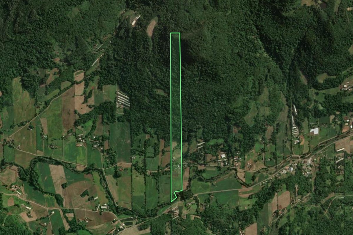 Imagem de satélite do imóvel rural em Imigrante (RS), com o contorno declarado no CAR desenhado por cima.