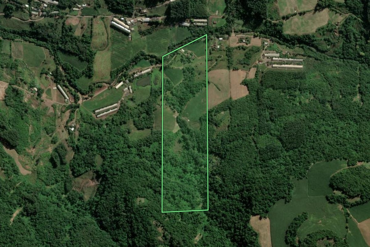Imagem de satélite do imóvel rural em Imigrante (RS), com o contorno declarado no CAR desenhado por cima.