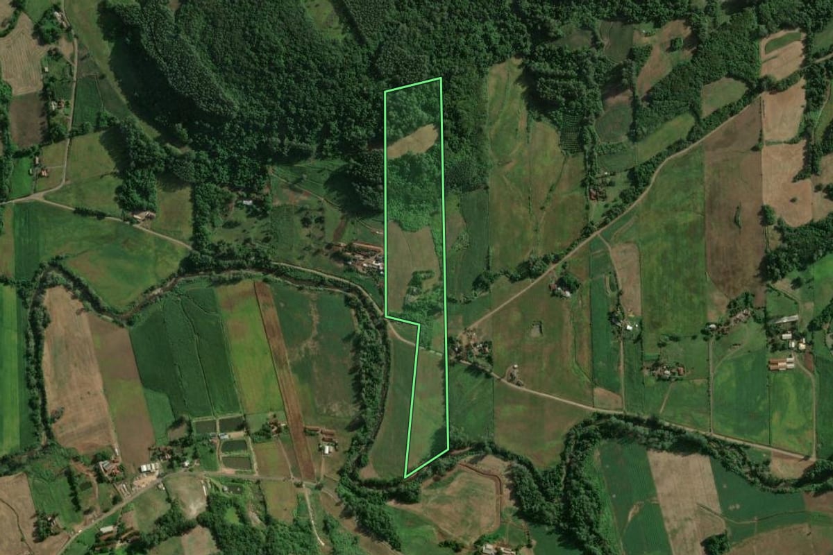 Imagem de satélite do imóvel rural em Imigrante (RS), com o contorno declarado no CAR desenhado por cima.