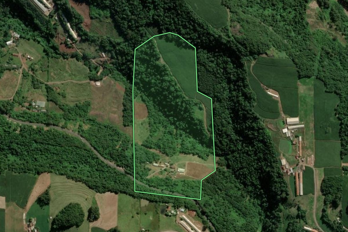 Imagem de satélite do imóvel rural em Imigrante (RS), com o contorno declarado no CAR desenhado por cima.