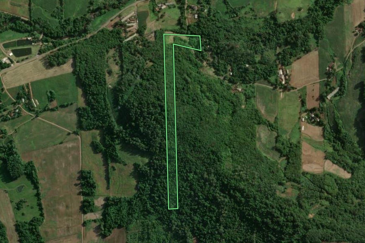 Imagem de satélite do imóvel rural em Imigrante (RS), com o contorno declarado no CAR desenhado por cima.