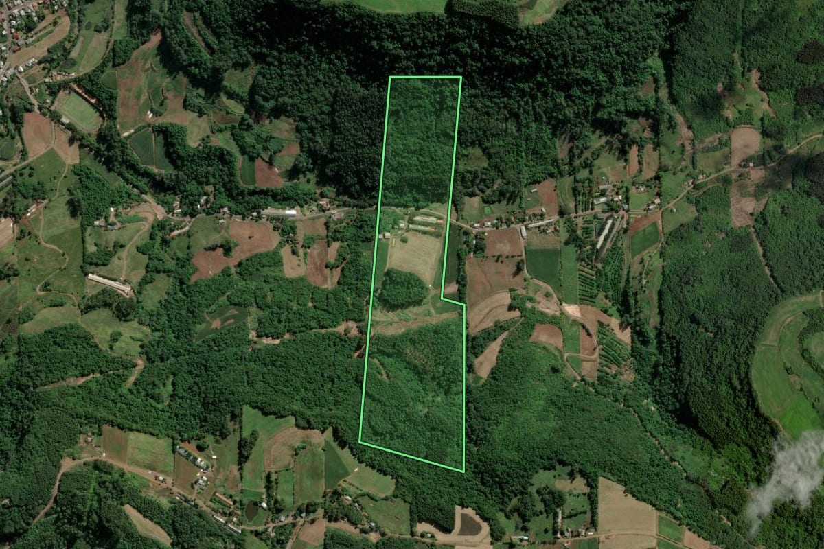 Imagem de satélite do imóvel rural em Imigrante (RS), com o contorno declarado no CAR desenhado por cima.