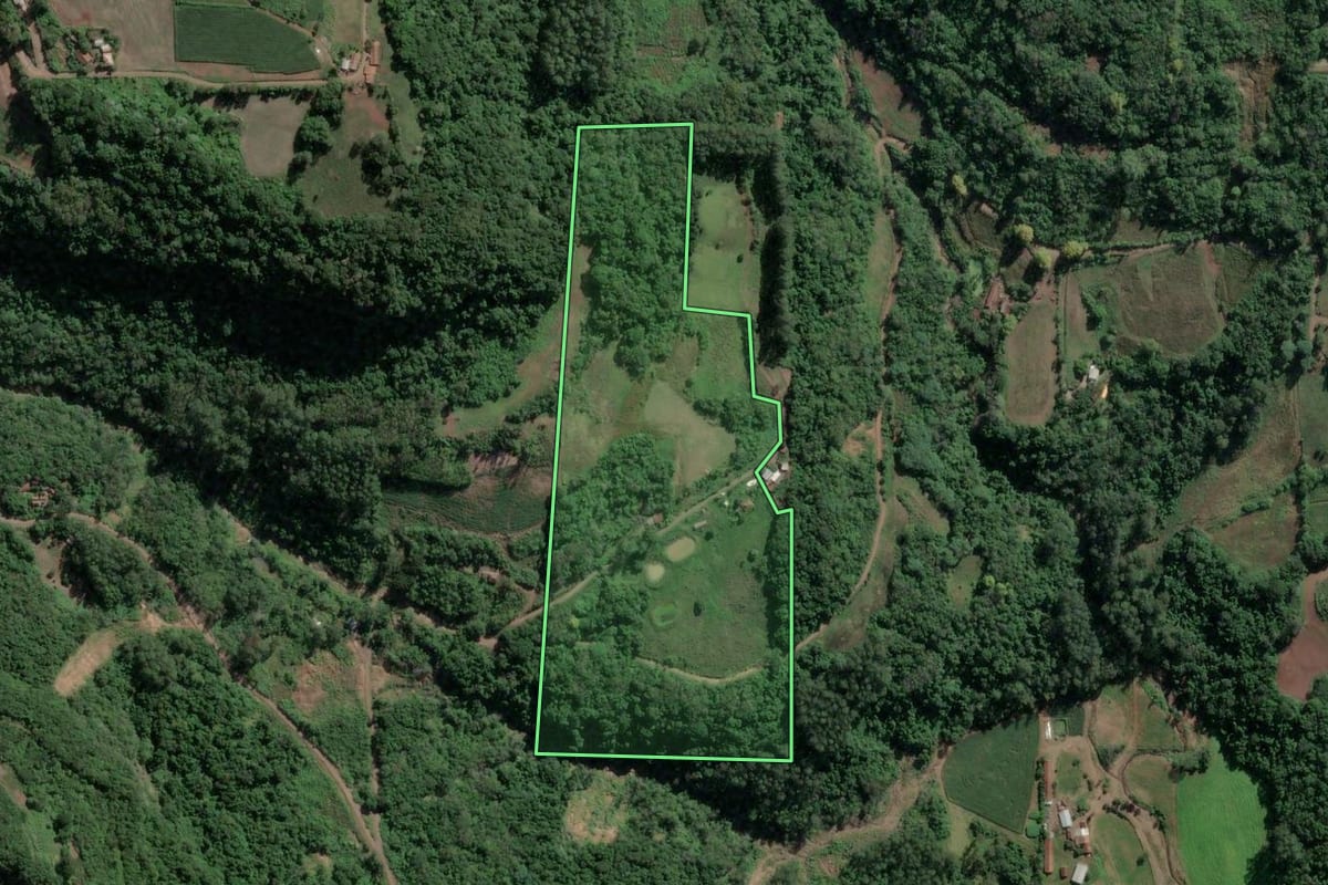 Imagem de satélite do imóvel rural em Imigrante (RS), com o contorno declarado no CAR desenhado por cima.