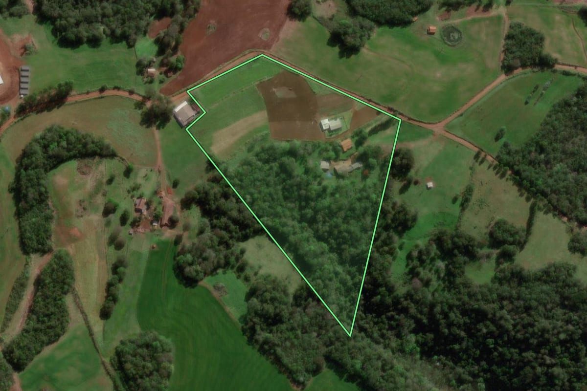 Imagem de satélite do imóvel rural em Independência (RS), com o contorno declarado no CAR desenhado por cima.