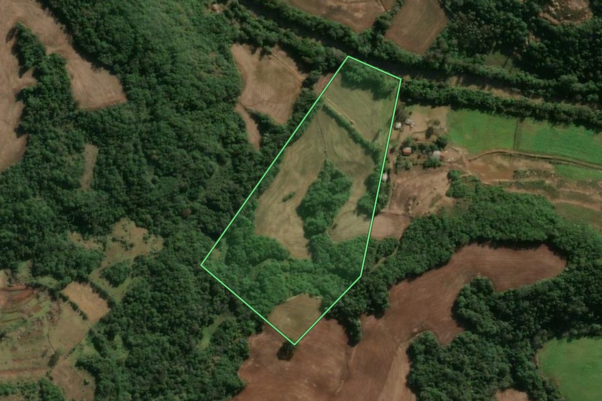 Imagem de satélite do imóvel rural em Independência (RS), com o contorno declarado no CAR desenhado por cima.
