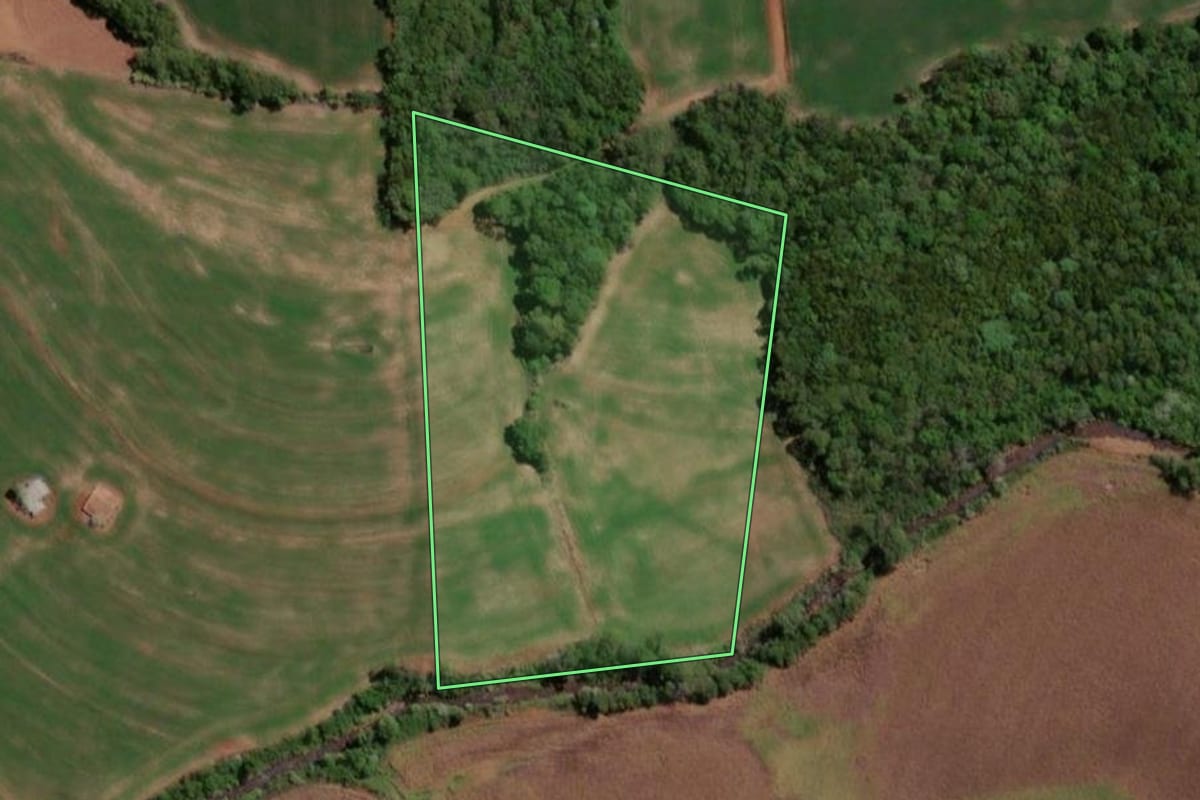 Imagem de satélite do imóvel rural em Independência (RS), com o contorno declarado no CAR desenhado por cima.