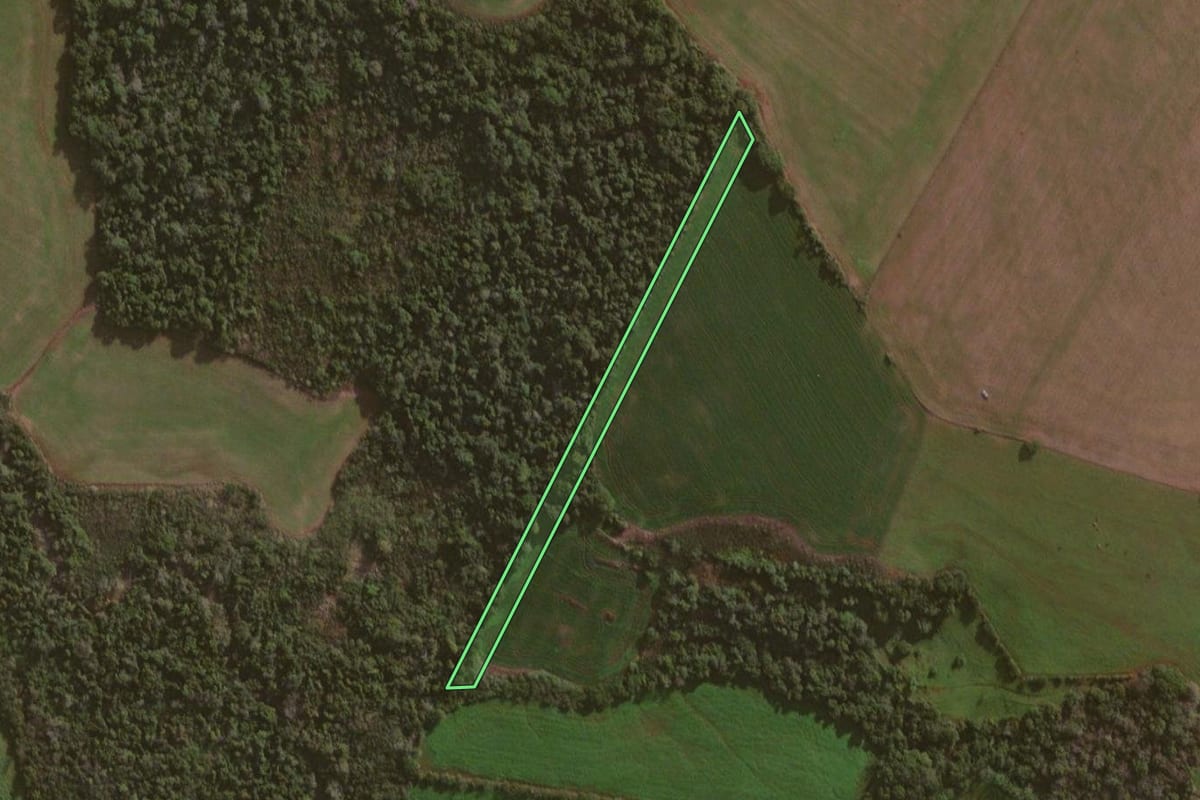 Imagem de satélite do imóvel rural em Independência (RS), com o contorno declarado no CAR desenhado por cima.