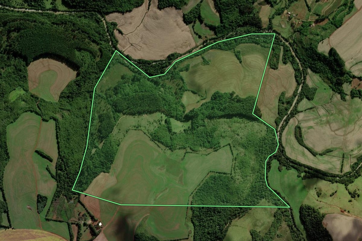 Imagem de satélite do imóvel rural em Independência (RS), com o contorno declarado no CAR desenhado por cima.