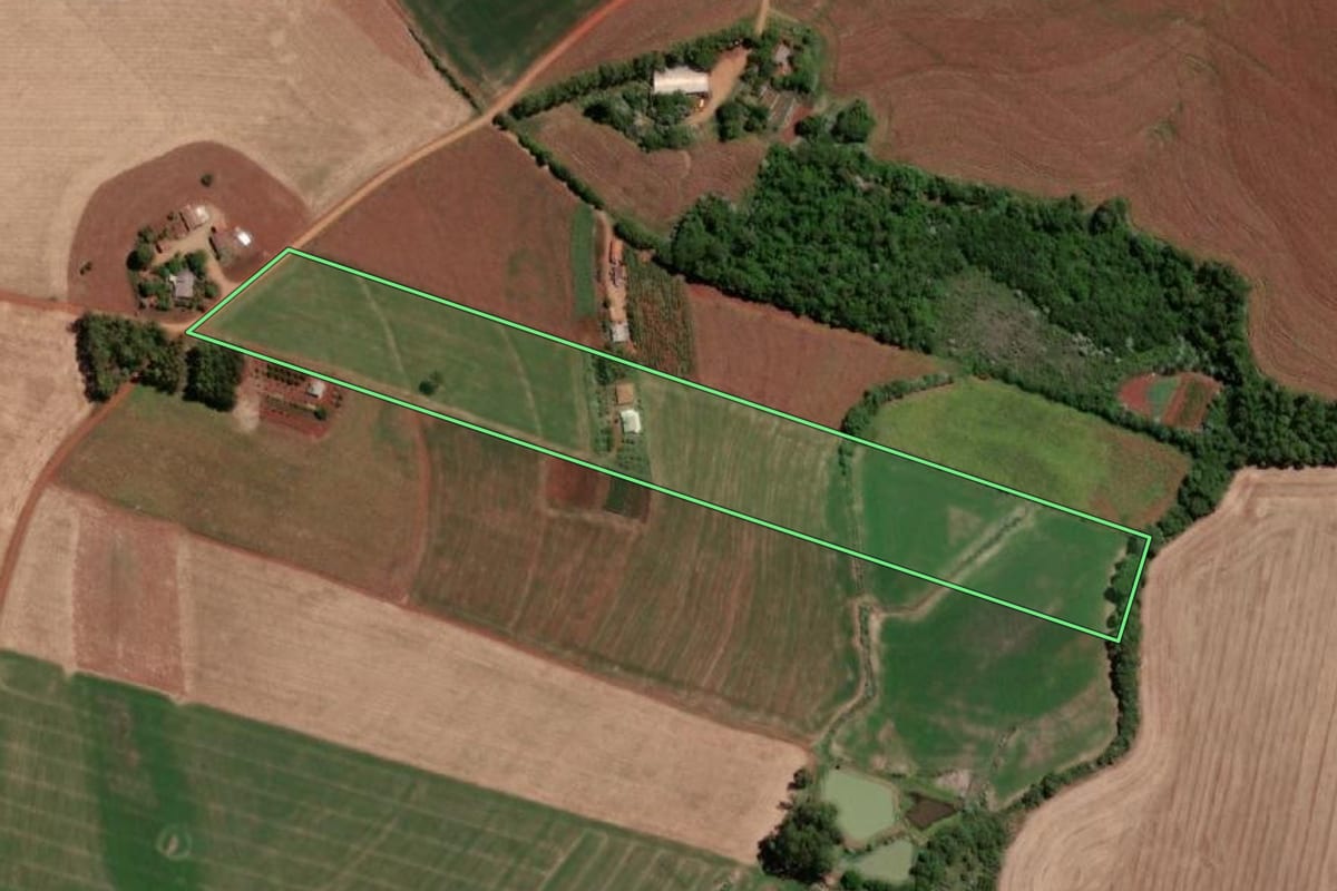 Imagem de satélite do imóvel rural em Independência (RS), com o contorno declarado no CAR desenhado por cima.