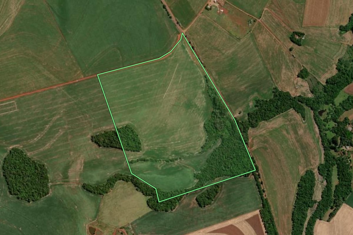 Imagem de satélite do imóvel rural em Independência (RS), com o contorno declarado no CAR desenhado por cima.