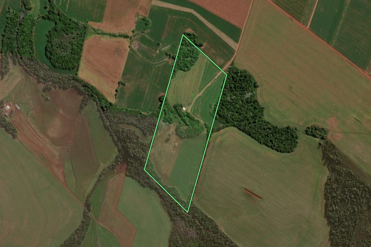 Imagem de satélite do imóvel rural em Independência (RS), com o contorno declarado no CAR desenhado por cima.