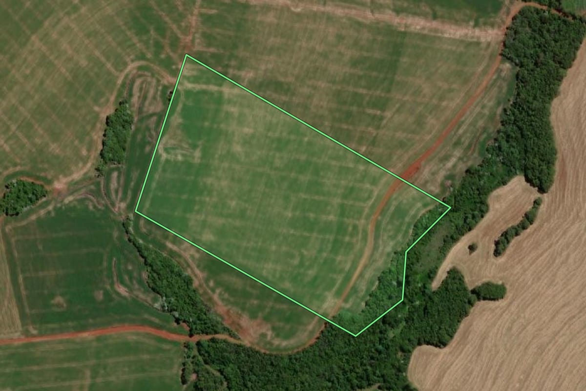 Imagem de satélite do imóvel rural em Independência (RS), com o contorno declarado no CAR desenhado por cima.