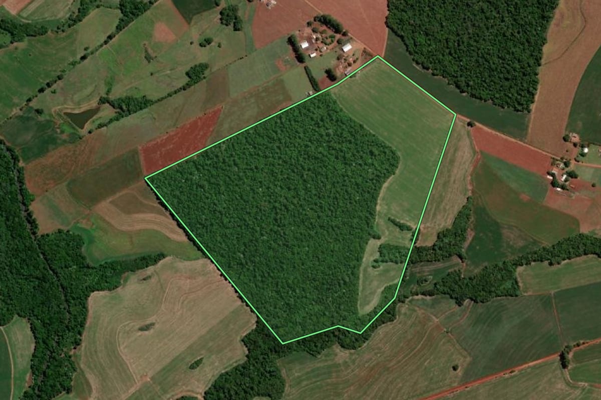 Imagem de satélite do imóvel rural em Independência (RS), com o contorno declarado no CAR desenhado por cima.