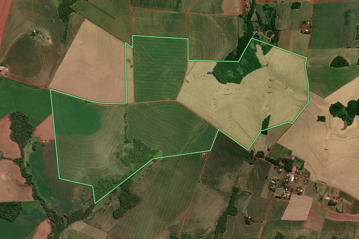 Imagem de satélite do imóvel rural em Independência (RS), com o contorno declarado no CAR desenhado por cima.
