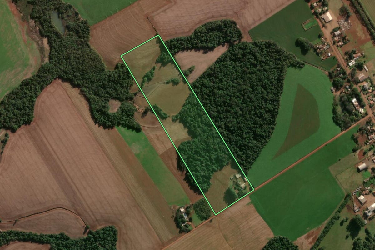 Imagem de satélite do imóvel rural em Independência (RS), com o contorno declarado no CAR desenhado por cima.