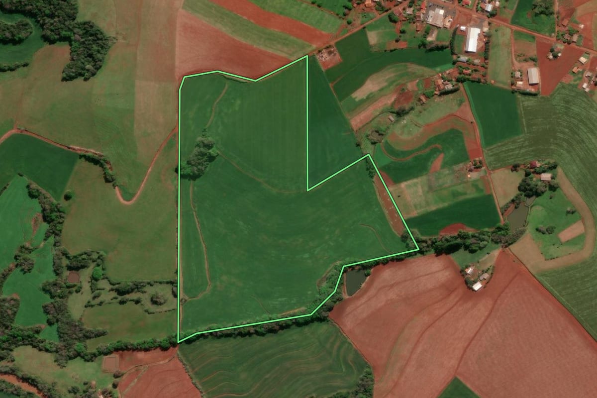 Imagem de satélite do imóvel rural em Independência (RS), com o contorno declarado no CAR desenhado por cima.
