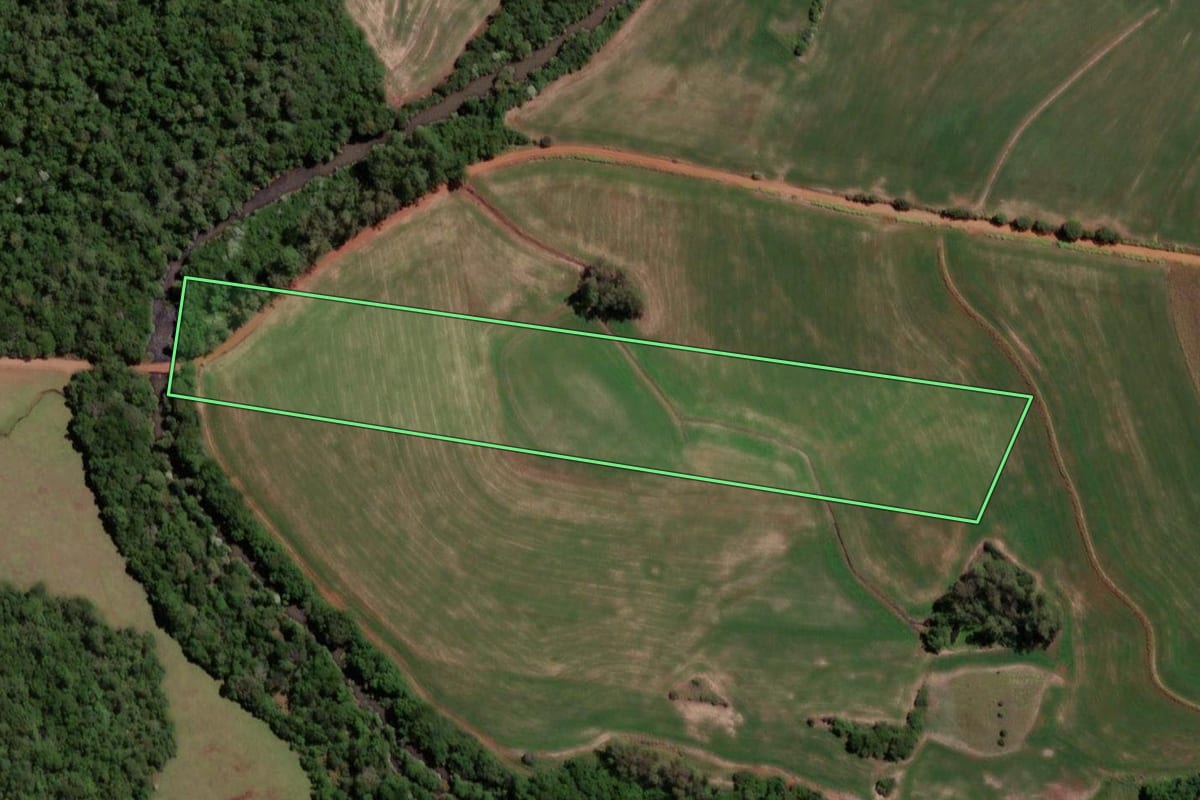 Imagem de satélite do imóvel rural em Independência (RS), com o contorno declarado no CAR desenhado por cima.