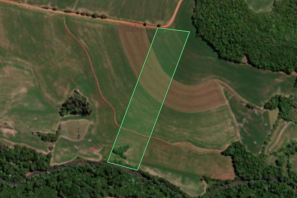 Imagem de satélite do imóvel rural em Independência (RS), com o contorno declarado no CAR desenhado por cima.