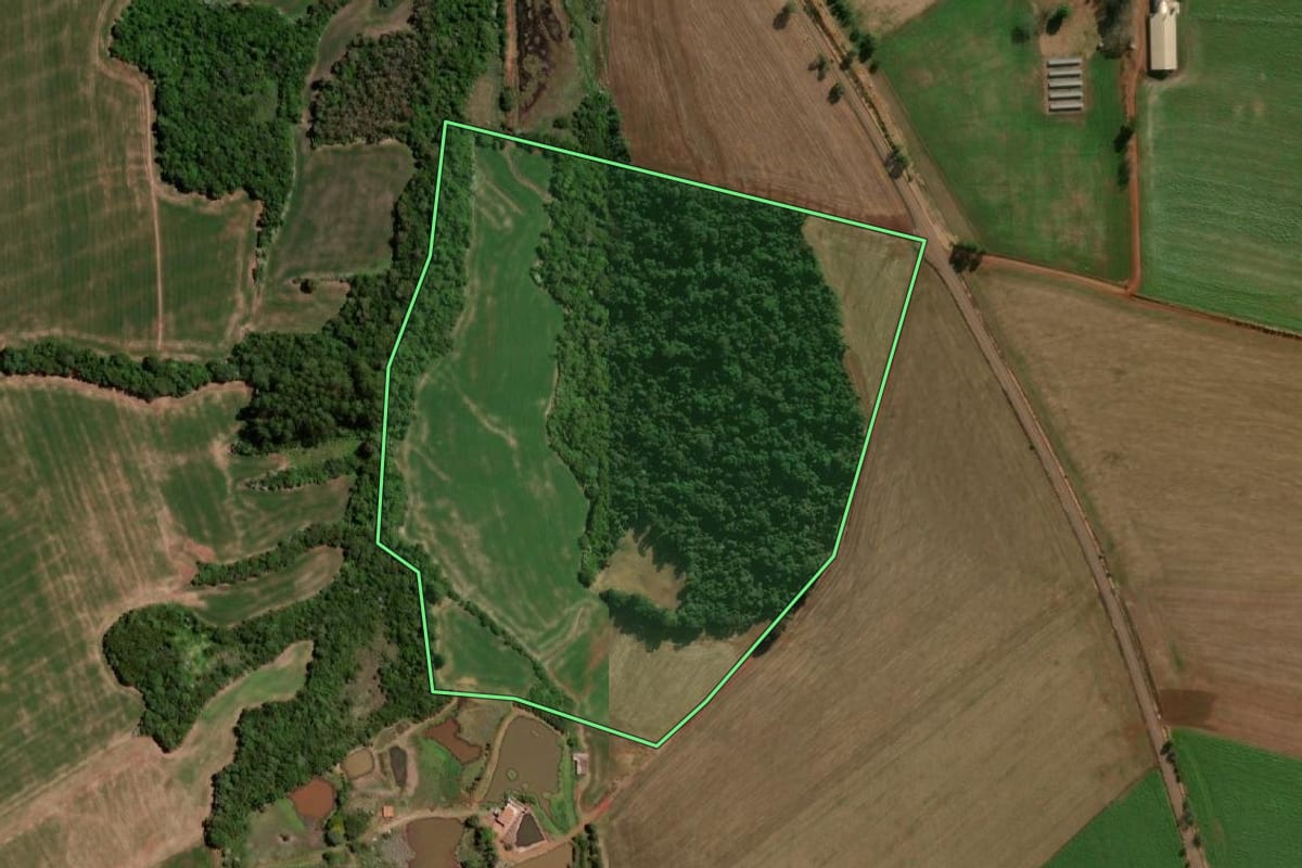 Imagem de satélite do imóvel rural em Independência (RS), com o contorno declarado no CAR desenhado por cima.