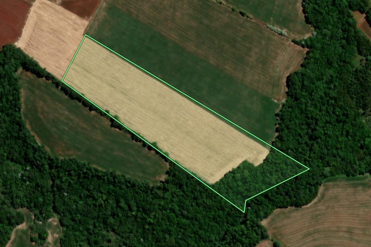 Imagem de satélite do imóvel rural em Independência (RS), com o contorno declarado no CAR desenhado por cima.