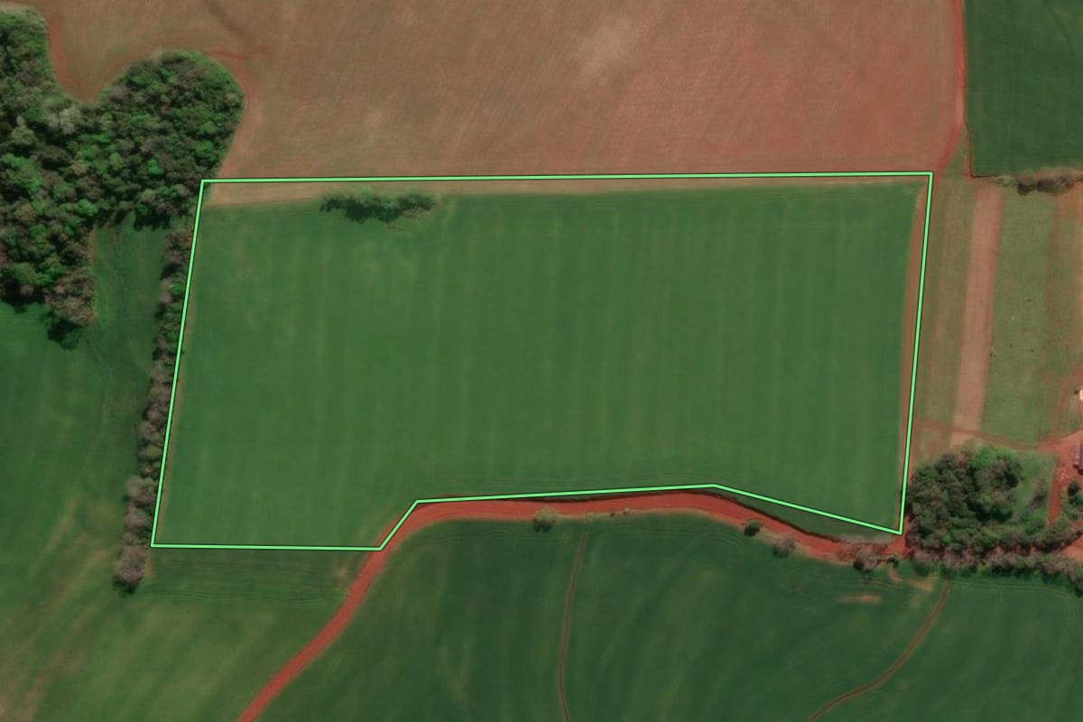 Imagem de satélite do imóvel rural em Independência (RS), com o contorno declarado no CAR desenhado por cima.
