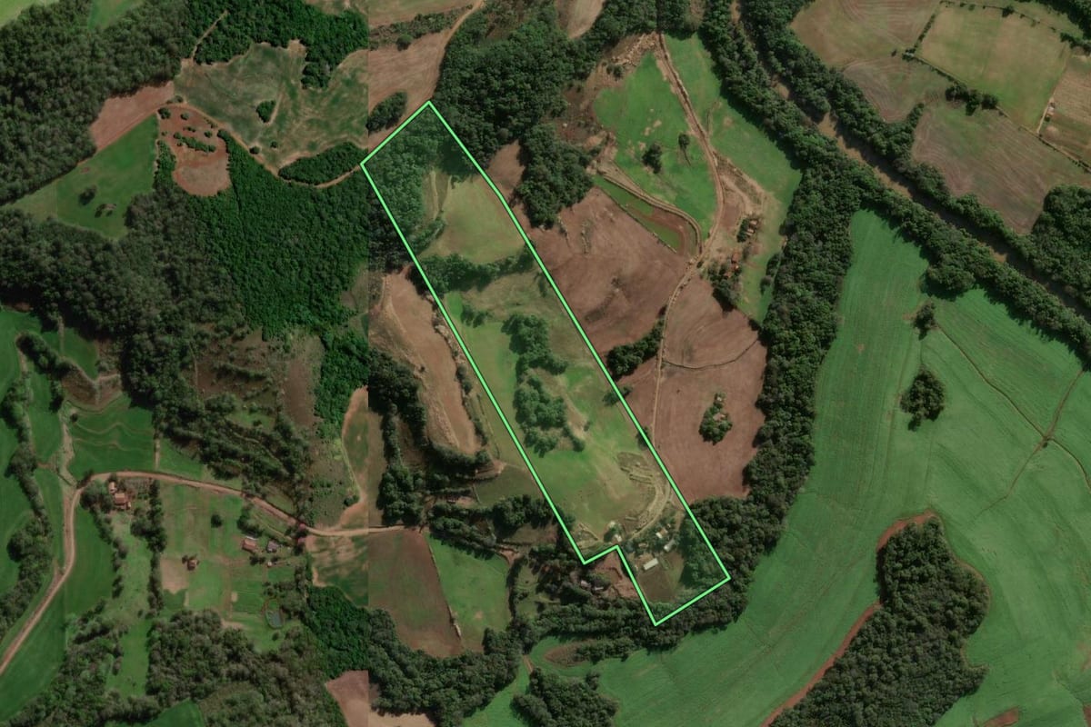 Imagem de satélite do imóvel rural em Independência (RS), com o contorno declarado no CAR desenhado por cima.