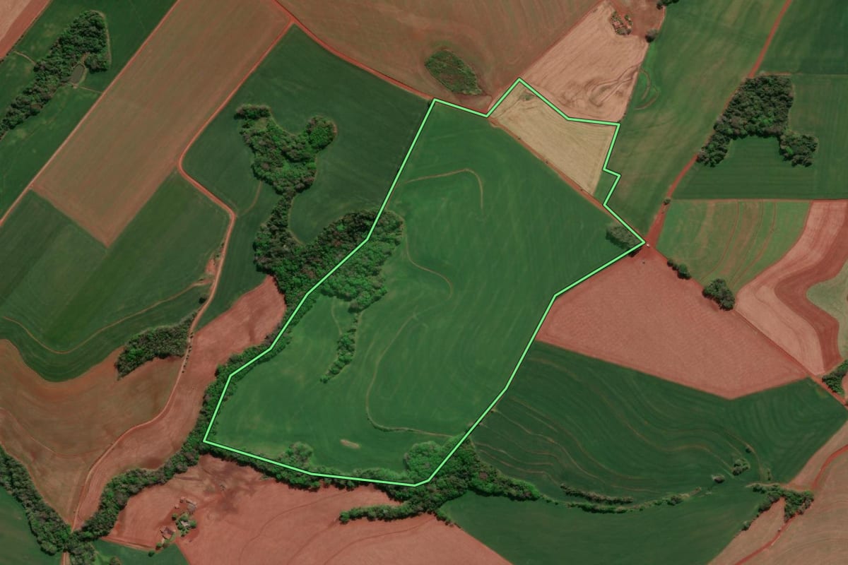 Imagem de satélite do imóvel rural em Independência (RS), com o contorno declarado no CAR desenhado por cima.