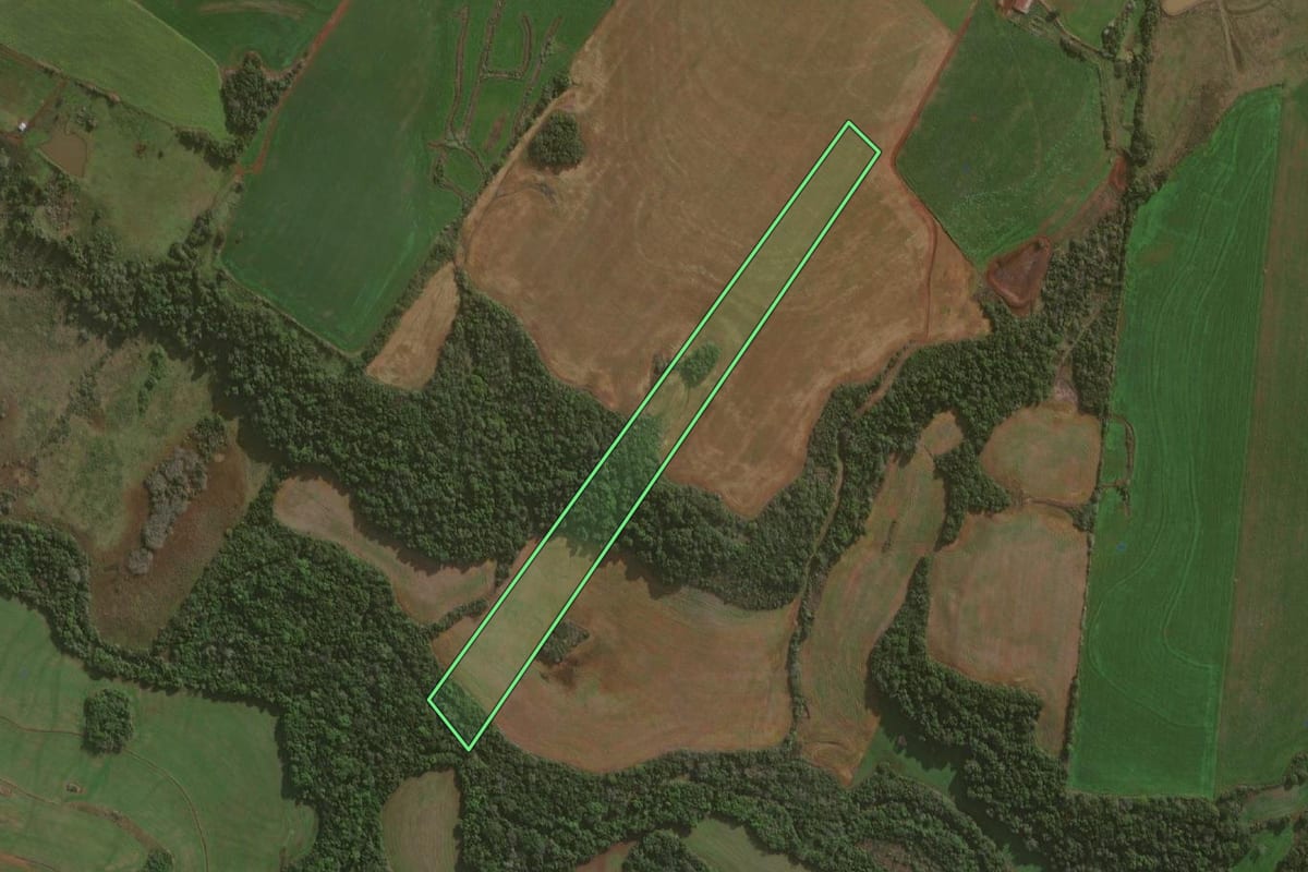 Imagem de satélite do imóvel rural em Independência (RS), com o contorno declarado no CAR desenhado por cima.