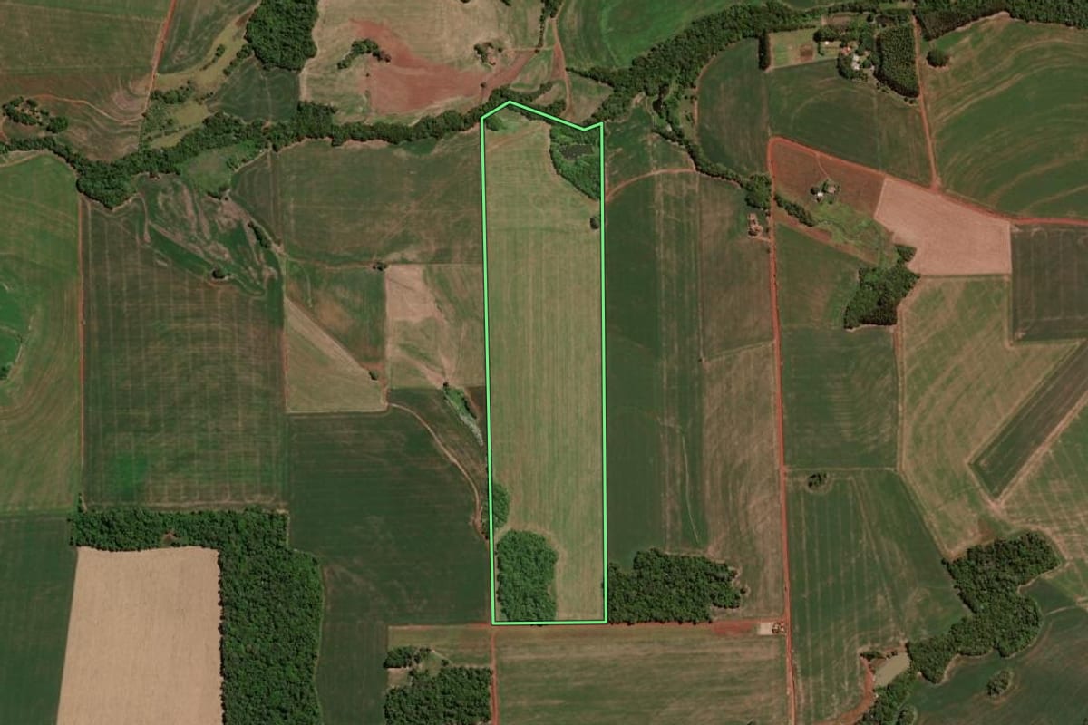 Imagem de satélite do imóvel rural em Independência (RS), com o contorno declarado no CAR desenhado por cima.