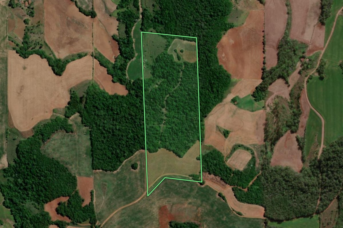 Imagem de satélite do imóvel rural em Independência (RS), com o contorno declarado no CAR desenhado por cima.