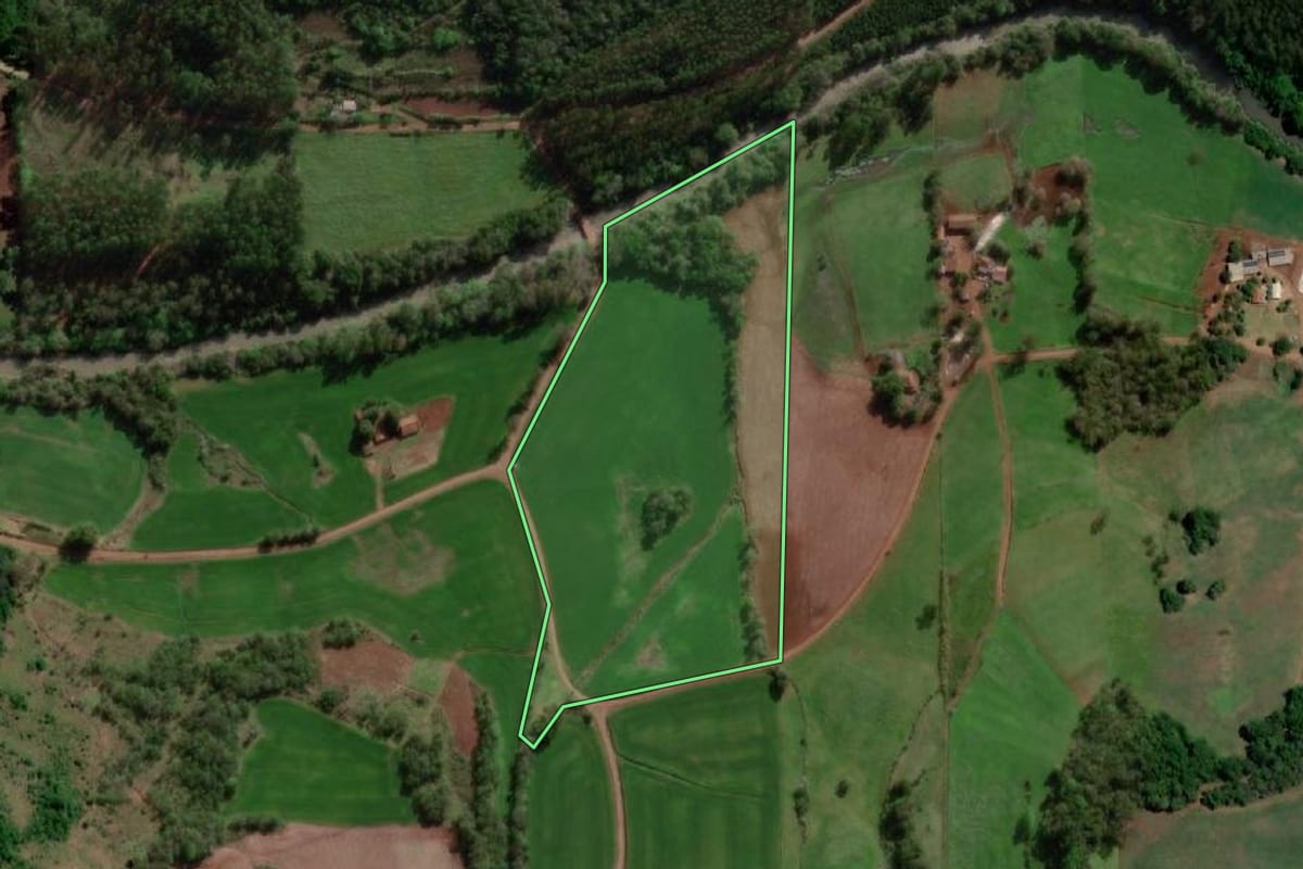 Imagem de satélite do imóvel rural em Independência (RS), com o contorno declarado no CAR desenhado por cima.