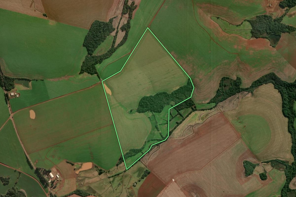 Imagem de satélite do imóvel rural em Independência (RS), com o contorno declarado no CAR desenhado por cima.