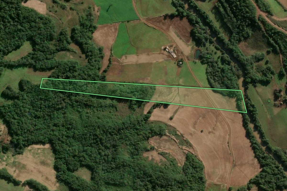 Imagem de satélite do imóvel rural em Independência (RS), com o contorno declarado no CAR desenhado por cima.
