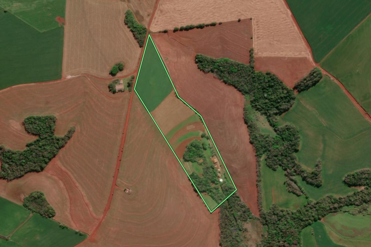 Imagem de satélite do imóvel rural em Independência (RS), com o contorno declarado no CAR desenhado por cima.