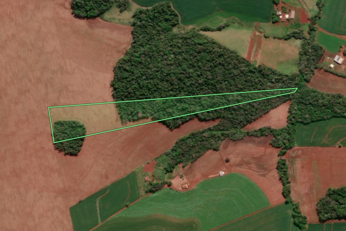 Imagem de satélite do imóvel rural em Independência (RS), com o contorno declarado no CAR desenhado por cima.