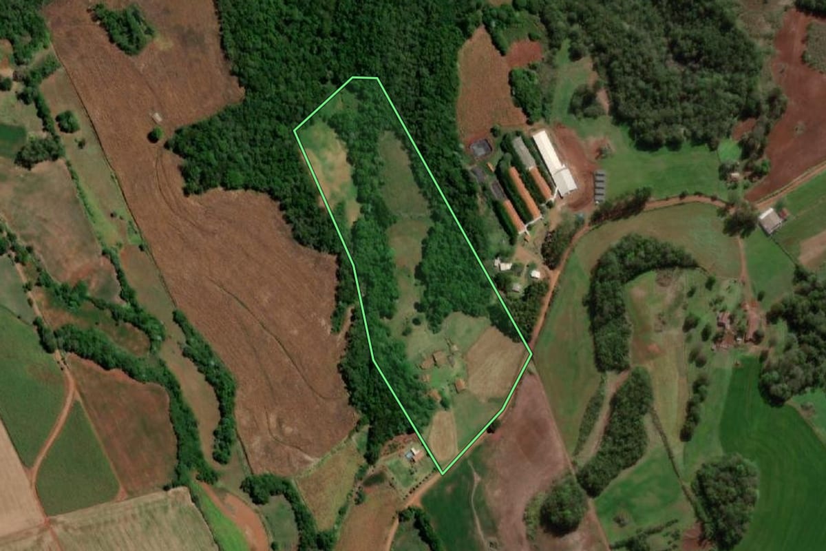 Imagem de satélite do imóvel rural em Independência (RS), com o contorno declarado no CAR desenhado por cima.