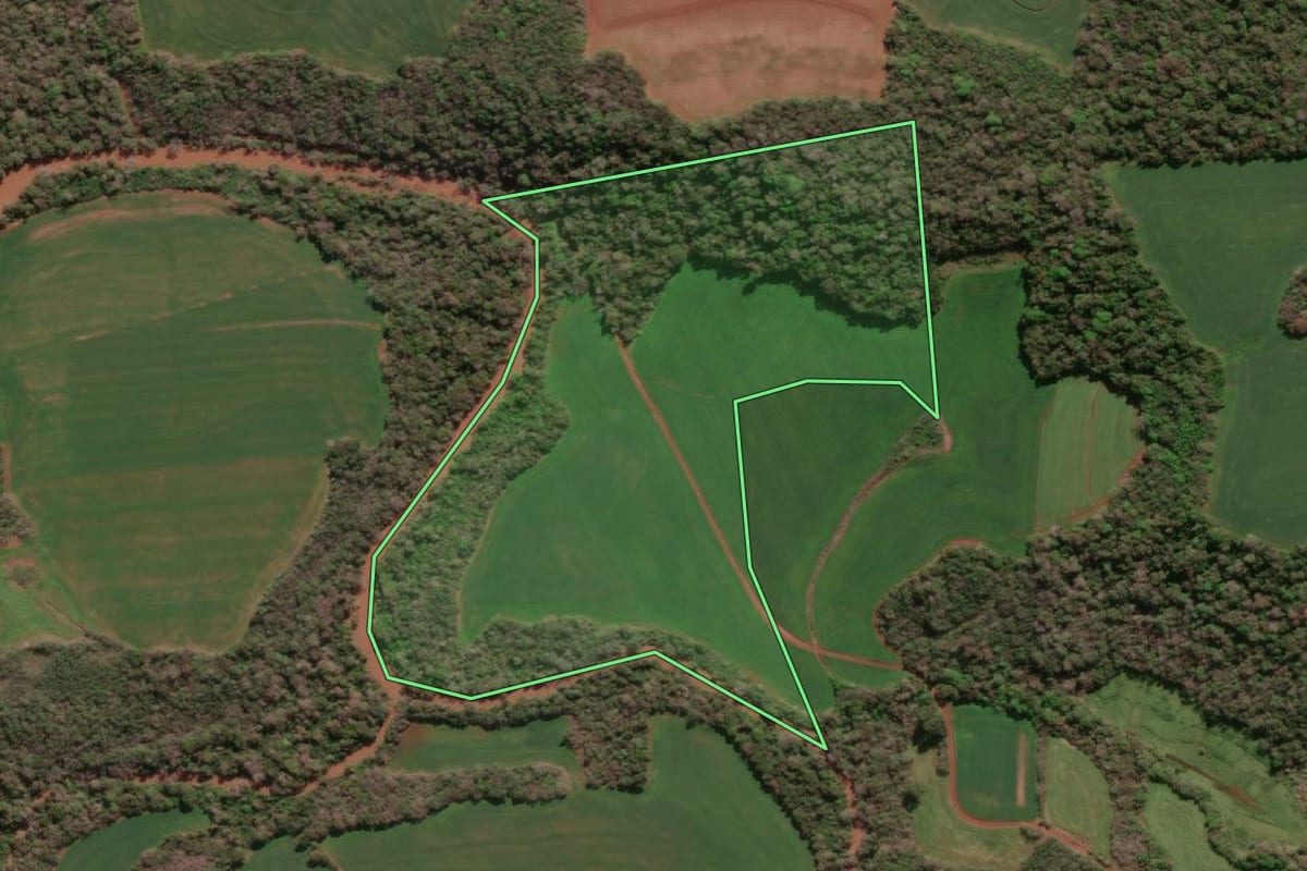 Imagem de satélite do imóvel rural em Independência (RS), com o contorno declarado no CAR desenhado por cima.