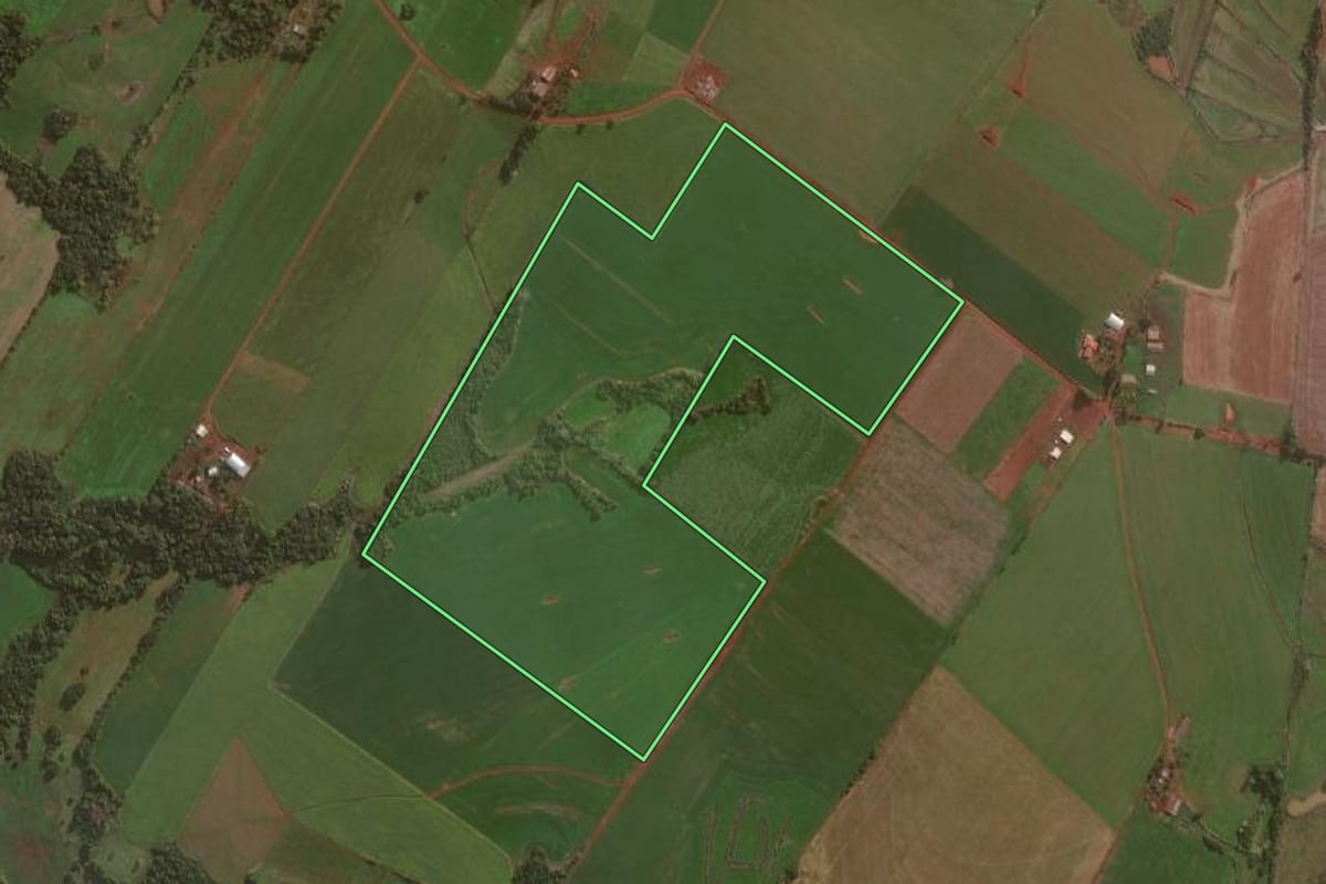 Imagem de satélite do imóvel rural em Independência (RS), com o contorno declarado no CAR desenhado por cima.