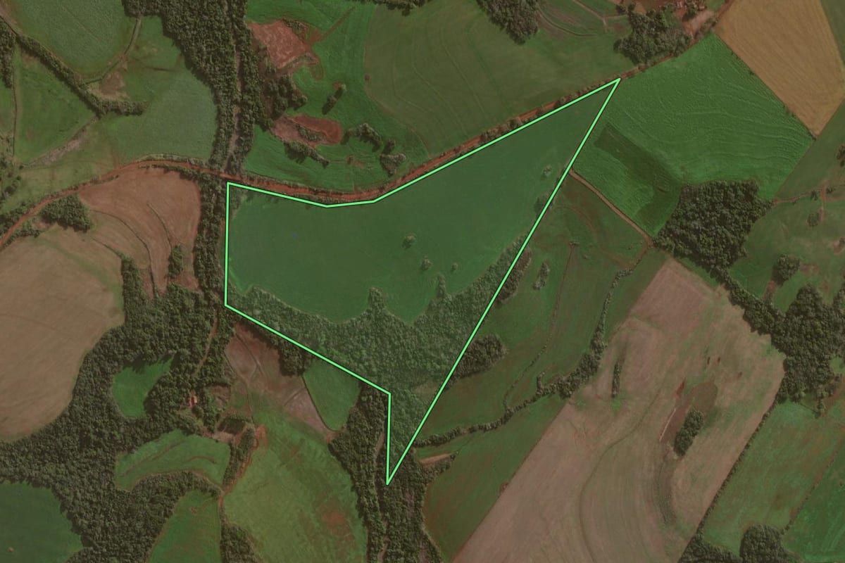 Imagem de satélite do imóvel rural em Independência (RS), com o contorno declarado no CAR desenhado por cima.