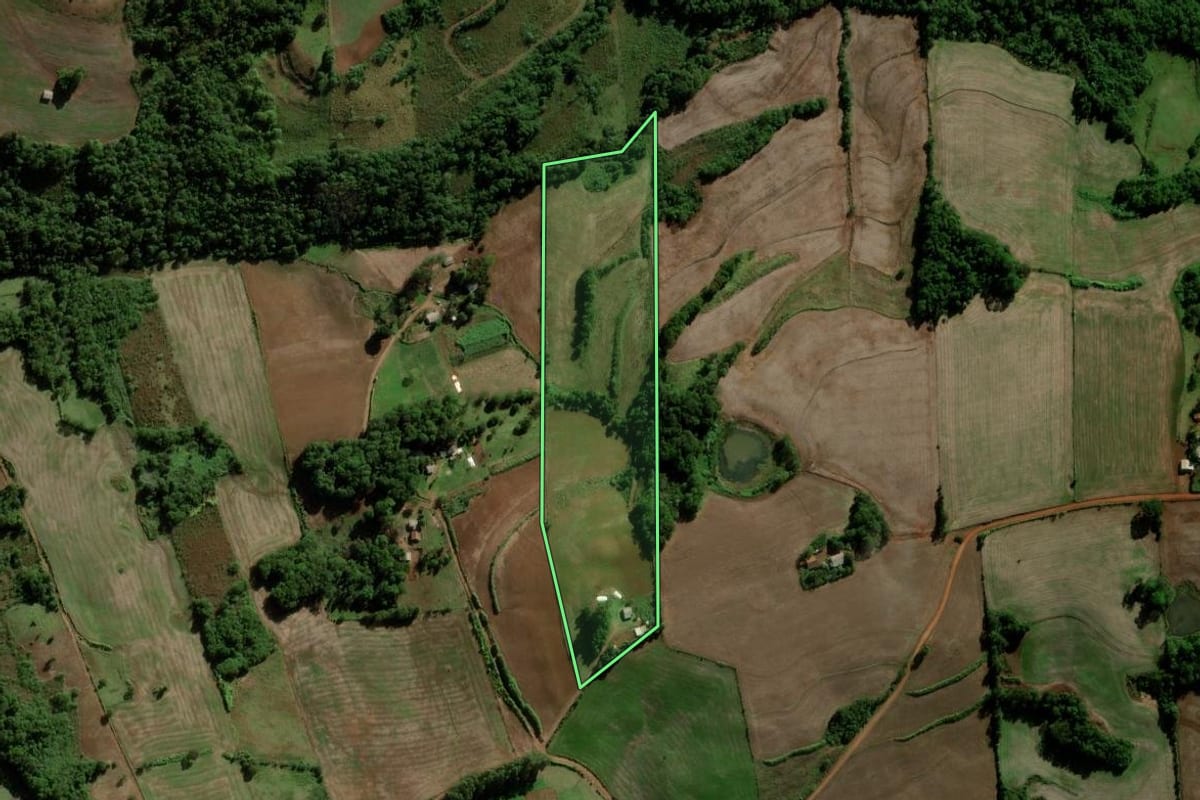 Imagem de satélite do imóvel rural em Inhacorá (RS), com o contorno declarado no CAR desenhado por cima.