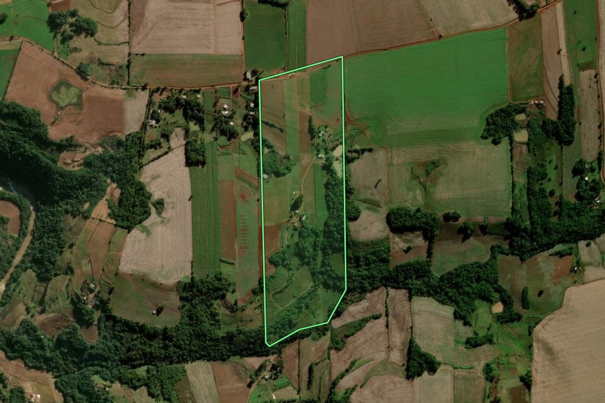 Imagem de satélite do imóvel rural em Inhacorá (RS), com o contorno declarado no CAR desenhado por cima.
