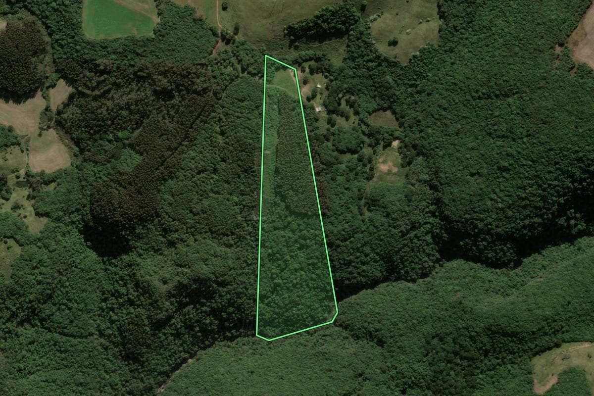 Imagem de satélite do imóvel rural em Ipê (RS), com o contorno declarado no CAR desenhado por cima.