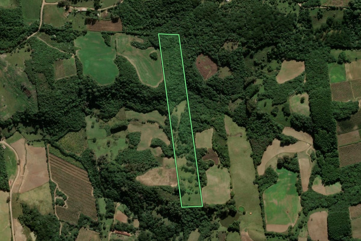 Imagem de satélite do imóvel rural em Ipê (RS), com o contorno declarado no CAR desenhado por cima.