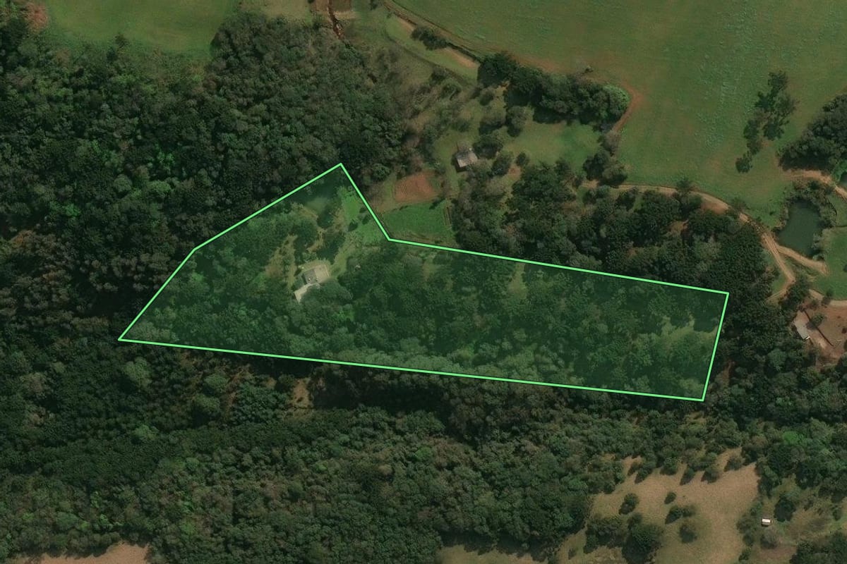 Imagem de satélite do imóvel rural em Ipê (RS), com o contorno declarado no CAR desenhado por cima.